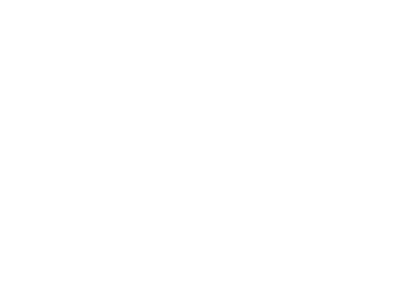 logo everypay