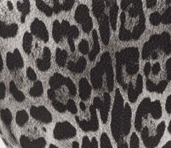 Silver leopard